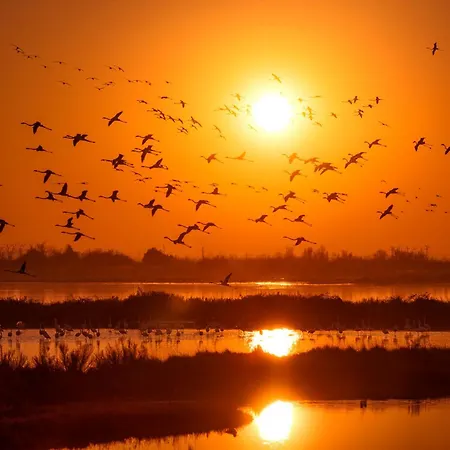 Village House - Host Solution